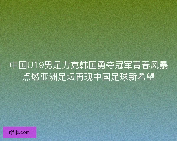 中国U19男足力克韩国勇夺冠军青春风暴点燃亚洲足坛再现中国足球新希望