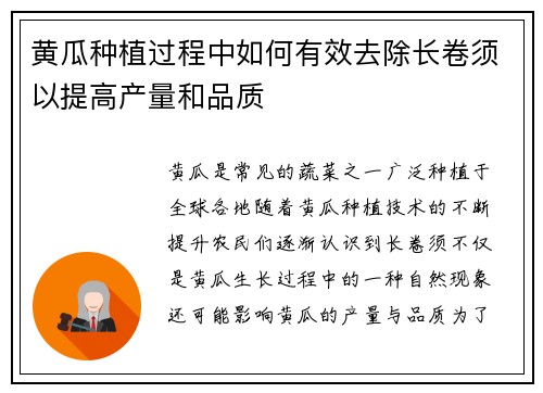 黄瓜种植过程中如何有效去除长卷须以提高产量和品质
